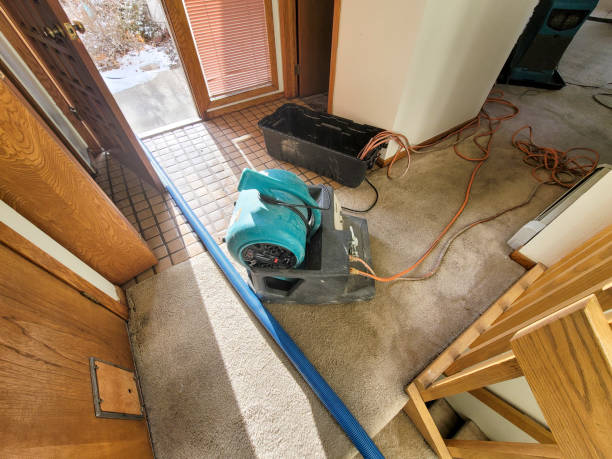 Best Water damage mitigation services  in USA